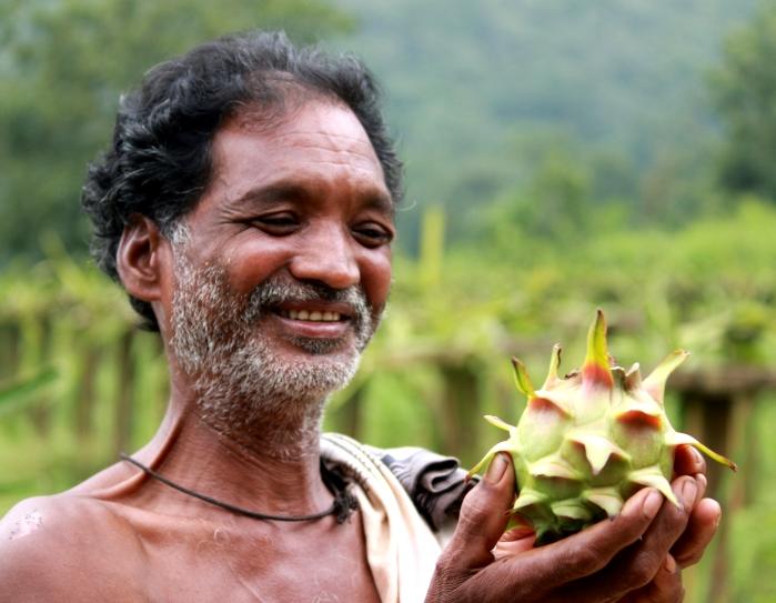Transforming Livelihoods through Dragon Fruit Cultivation in Bedaketa Village